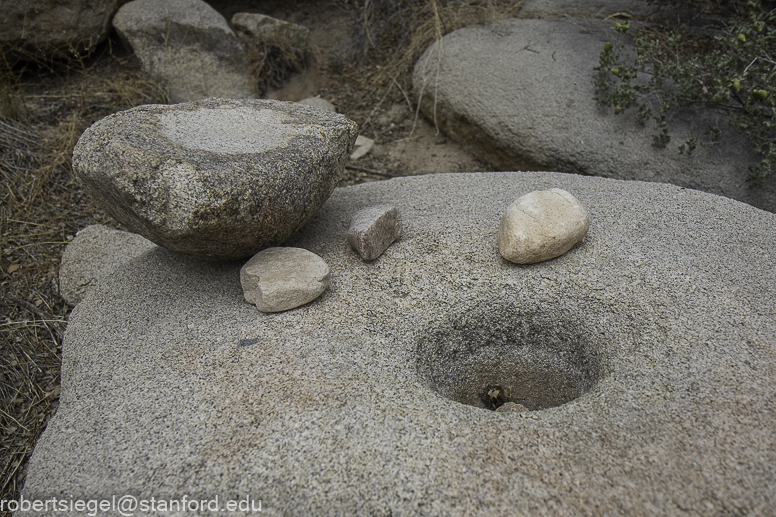 Desert Biogeography of Joshua Tree National Park